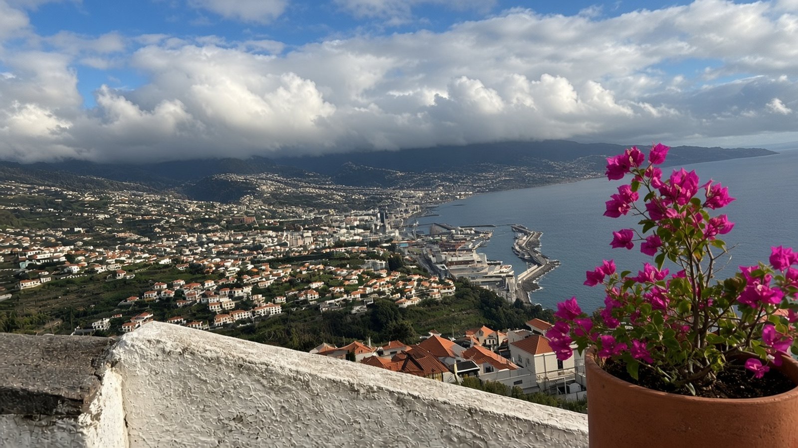 Sun on Funchal and its harbour while clouds sit over the mountains, with bougainvillea in the foreground